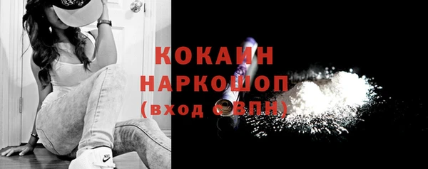 винт Абаза