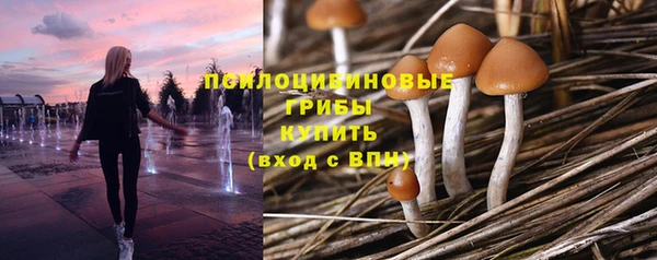 кокс Абдулино