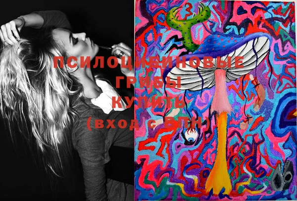 винт Абаза