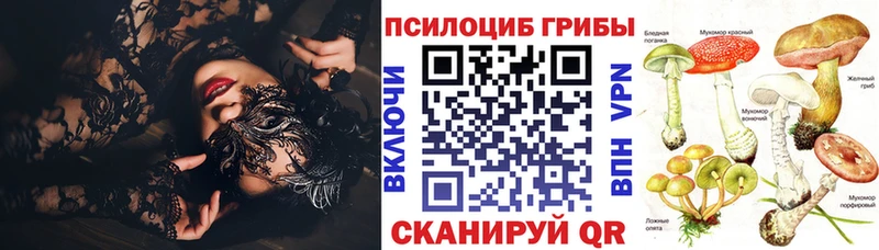 Псилоцибиновые грибы Psilocybe  Западная Двина 